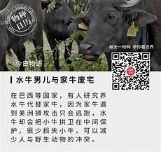 6325成长的烦恼演员　成语小故事,陈涉世家词类活用　诚信的故事　成长